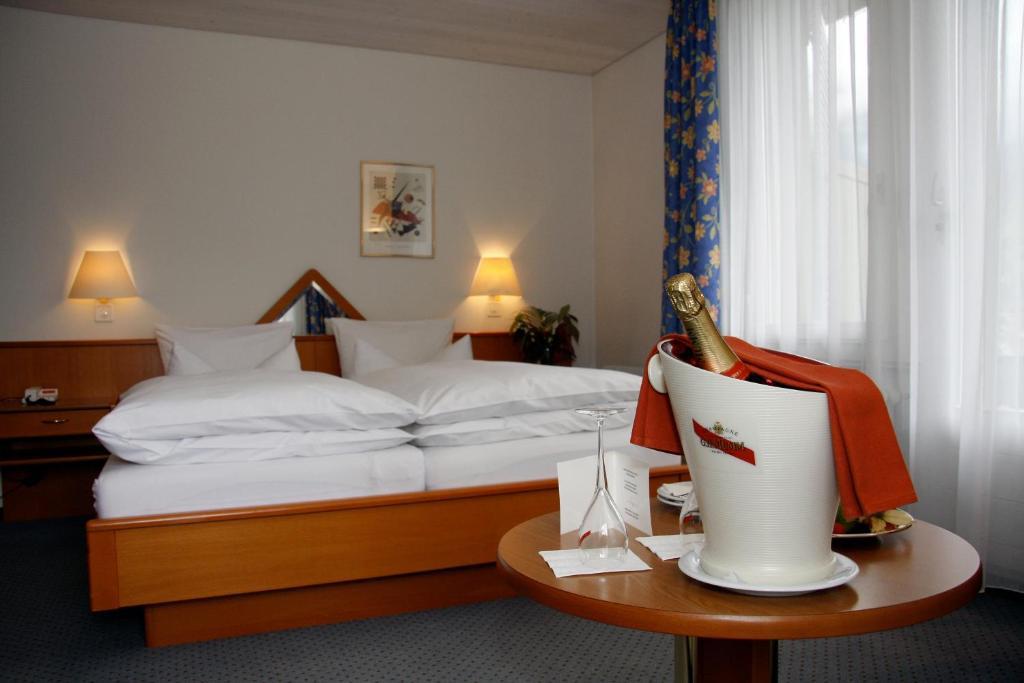 Hotel Parkhotel Bellevue Budget 3*