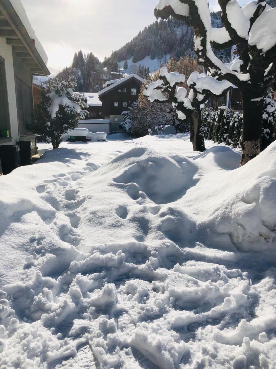 Hotel Parkhotel Bellevue Budget Lenk
