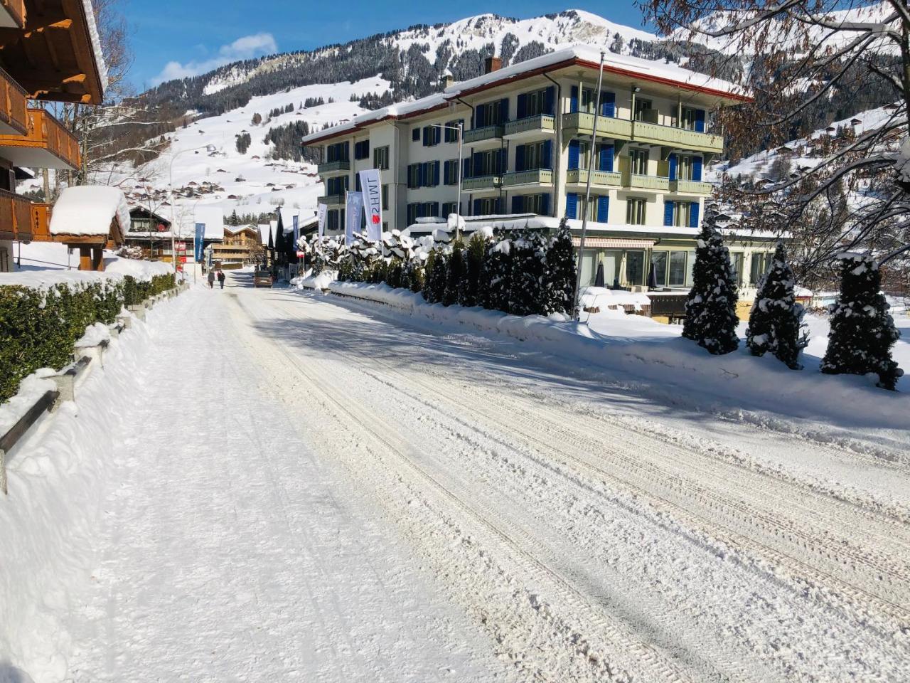 Parkhotel Bellevue Budget Hotel 3*